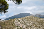 De begroeide rotsen in de omgeving van S'Arracó op Mallorca