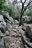 De rondwandeling begint met een pad over de rotsen bij Lluc