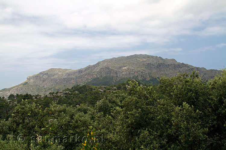 Het mooie uitzicht over de Serra de Tramuntana op Mallorca