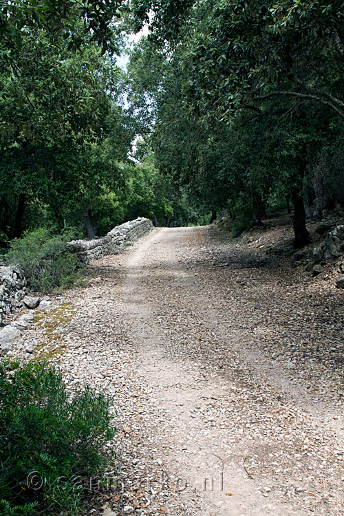 De oude weg tussen Binifaldó en Pollença, nu de GR 221