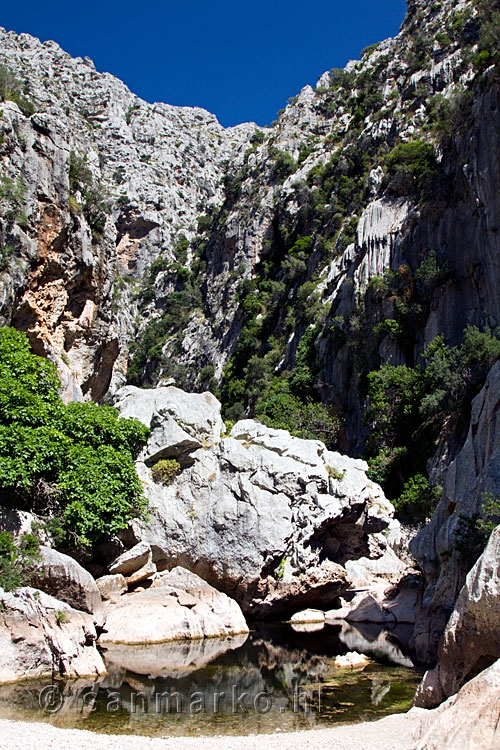 In de kloof Torrent de Pareis vlakbij Sa Calobra op Mallorca