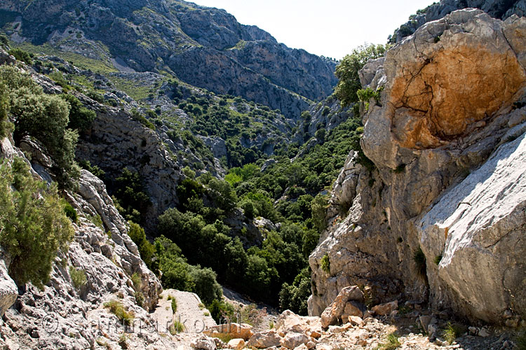 Het dal van de tunnel wandeling bij stuwmeer Cúber op Mallorca