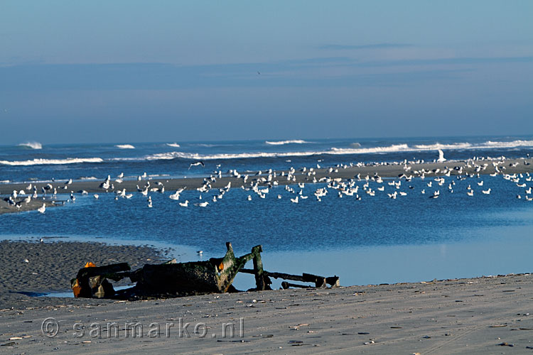 Een wrak op het strand van Terschelling