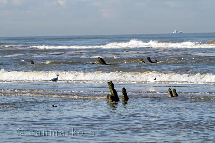 Restanten van een wrak in de branding van Terschelling