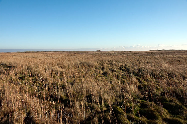 Uitgestrekte vlakte van de Boschplaat op Terschelling