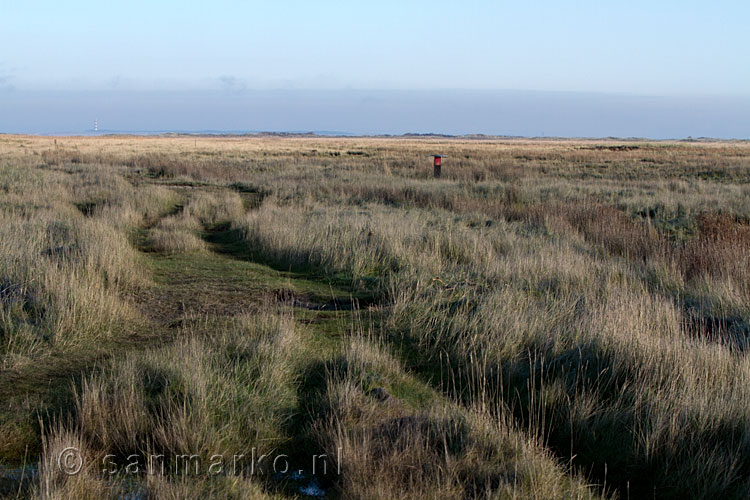 Ameland in de verte vanaf de Boschplaat op Terschelling