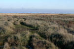 Ameland in de verte vanaf de Boschplaat op Terschelling