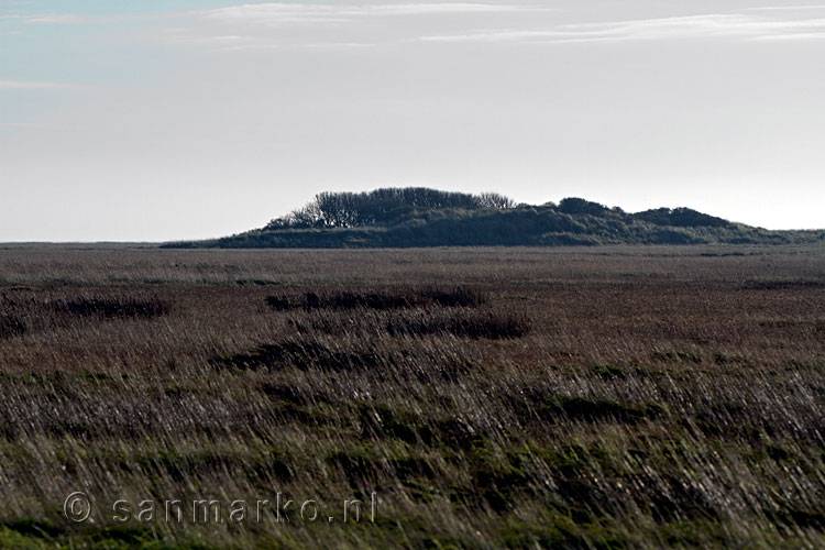 Duintjes op de Boschplaat op Terschelling