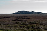 Duintjes op de Boschplaat op Terschelling