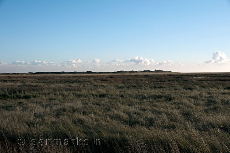 Uitzicht op de duintjes op de Boschplaat op Terschelling