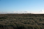 Uitzicht op de duintjes op de Boschplaat op Terschelling