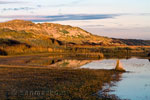 De duinen aan het begin van de Boschplaat op Terschelling