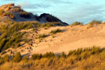 De duinen op Terschelling tijdens de zonsondergang