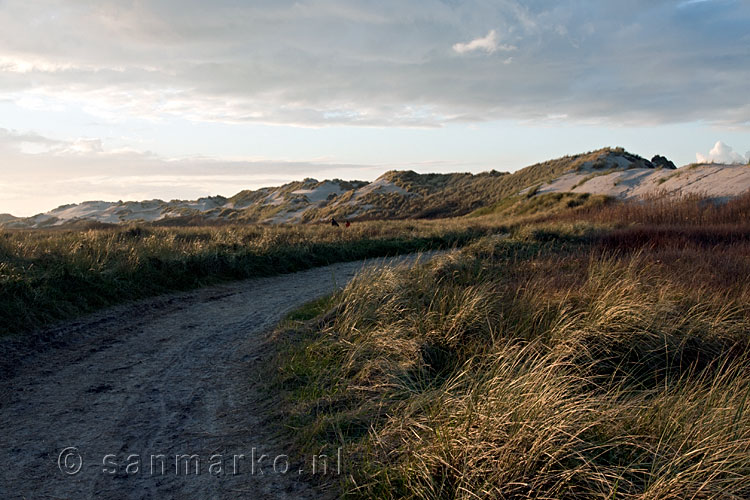 Het laatste deel van de wandeling over de Boschplaat op Terschelling