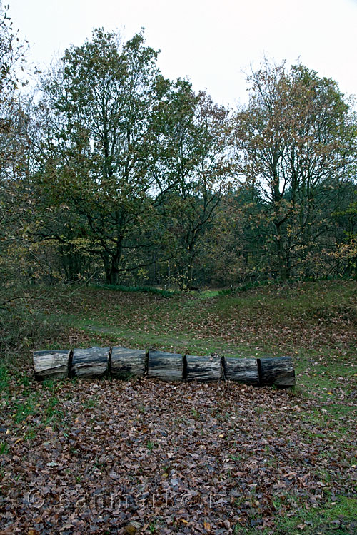 Een 'bankje' in het Formerumerbos op Terschelling