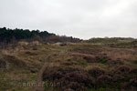 Door de duinen naar het Formerumerbos op Terschelling