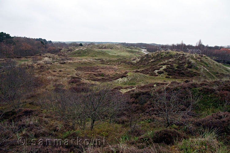 Uitzicht over de duinen bij het Formerumerbos op Terschelling