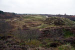 Uitzicht over de duinen bij het Formerumerbos op Terschelling