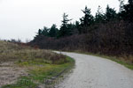 Fietspad door de duinen bij West-Terschelling