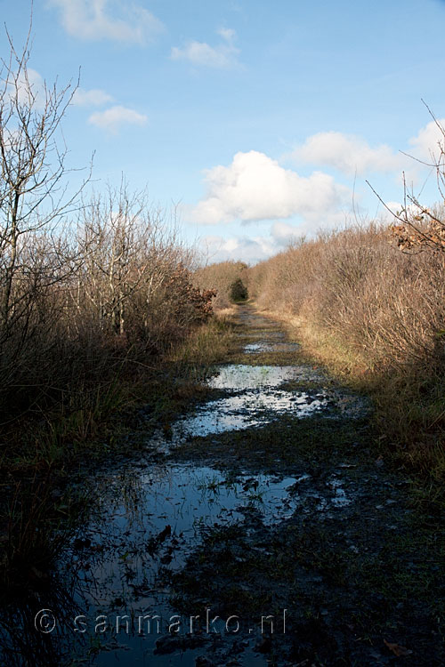 Het laatste deel van de wandeling is soms wat drassig