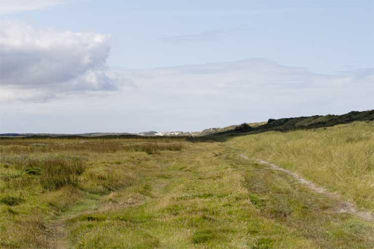 Net over de duinen op de Boschplaat