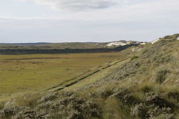 Uitzicht over de Boschplaat op Terschelling