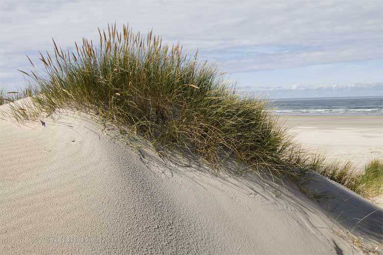 Bijna terug op het strand