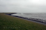 De dijk en de Waddenzee bij Terschelling