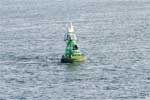 Een groene boei in de Waddenzee