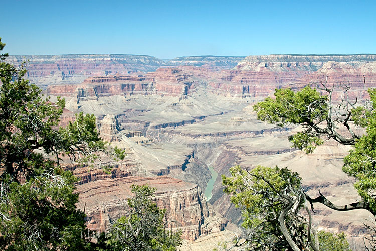 De Colorado River in de Grand Canyon in Amerika