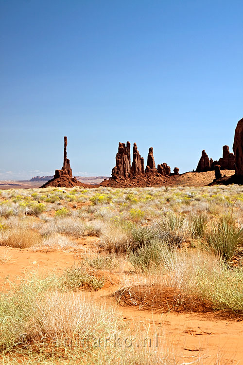 Totem Pole en Yei Bi Chei in Monument Valley