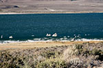 Kalk afzettingen in Mono Lake bij Lee Vining