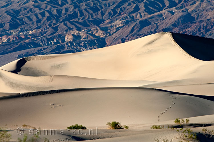 Close up van een zandduin in Death Valley in de USA