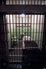 Weinig ruimte in de cellen van Alcatraz