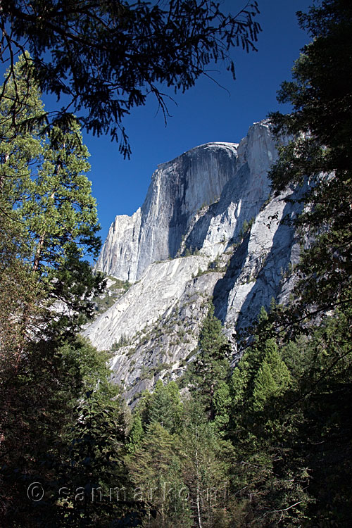 Half Dome vanaf een bushalte in Yosemite Valley