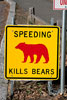 Let op beren! Speeding kills bears