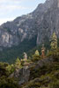 Het uitzicht over Yosemite Valley vanaf het wandelpad naar Inspiration Point