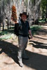 Grote denneappels in het bos van Mariposa Grove