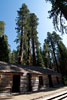 Het museum van Mariposa Grove in Yosemite