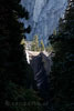 Tussen de bomen door doemt de Vernal Fall op