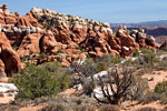 Fiery Furnace bij het uitzichtpunt in Arches National Park