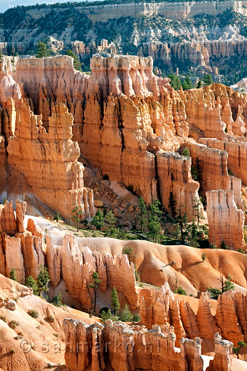 De grillige vormen van de Hoodoo's in Bryce Canyon