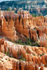 De grillige vormen van de Hoodoo's in Bryce Canyon