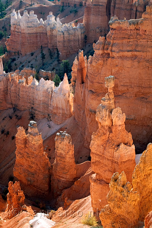 In het avond licht wordt Bryce Canyon nog mooier