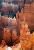 In het avond licht wordt Bryce Canyon nog mooier