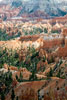 Waanzinnig mooi uitzicht over Bryce Canyon