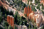 Close up van enkele van de vele Hoodoo's in Bryce Canyon