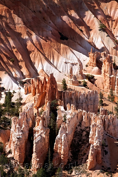 Het kleurrijke en bijzonder mooie Bryce Canyon