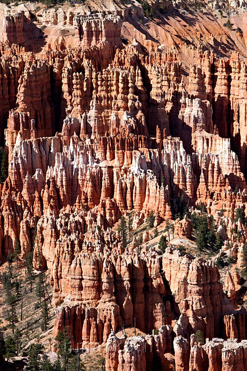 Betoverend Bryce Canyon in Utah, USA