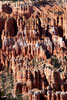 Betoverend Bryce Canyon in Utah, USA